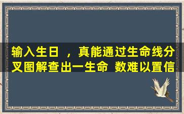 输入生日  ，真能通过生命线分叉图解查出一生命  数难以置信！
